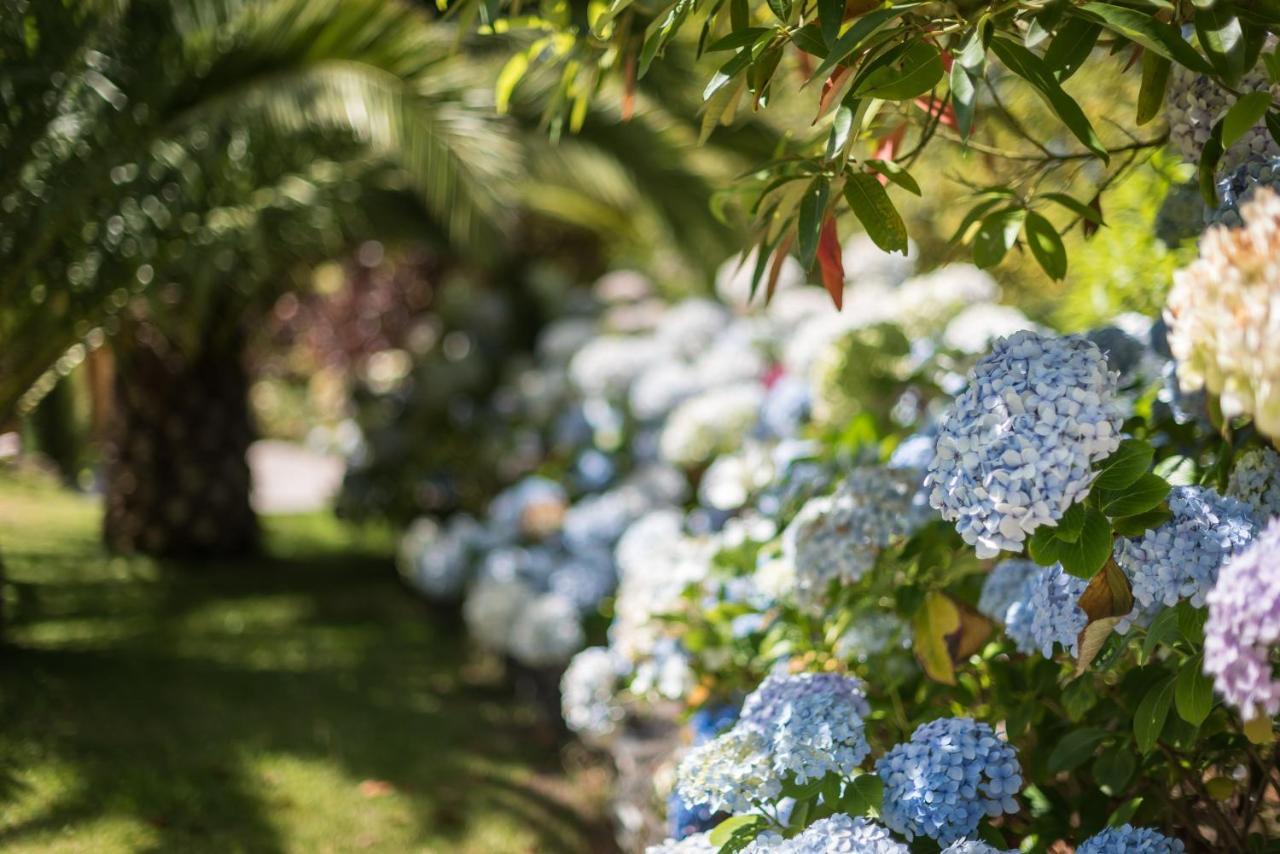 Hacienda Verde ラ・オロタバ エクステリア 写真