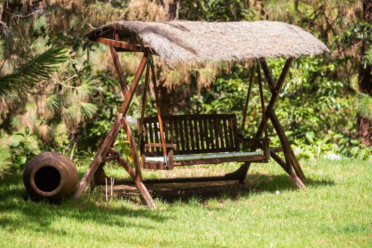 Hacienda Verde ラ・オロタバ エクステリア 写真